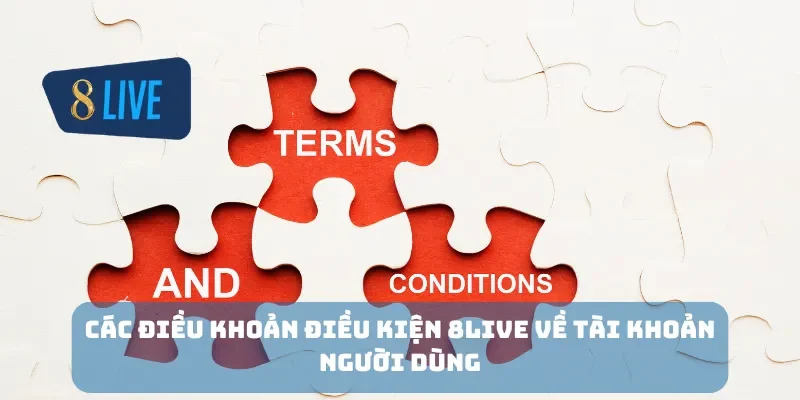 Các điều khoản điều kiện 8Live về tài khoản người dùng