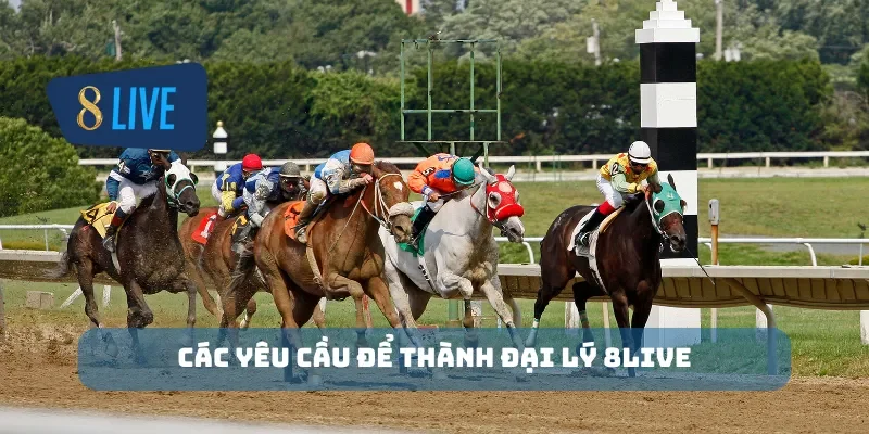Các yêu cầu để thành đại lý 8Live
