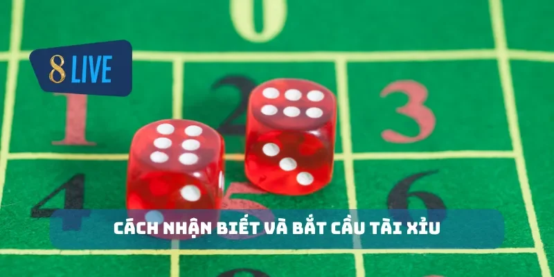 Cách nhận biết và bắt cầu tài xỉu