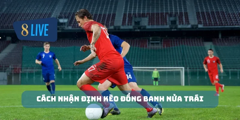 Cách nhận định kèo đồng banh nửa trái