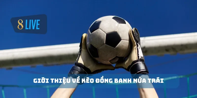 Giới thiệu về kèo đồng banh nửa trái