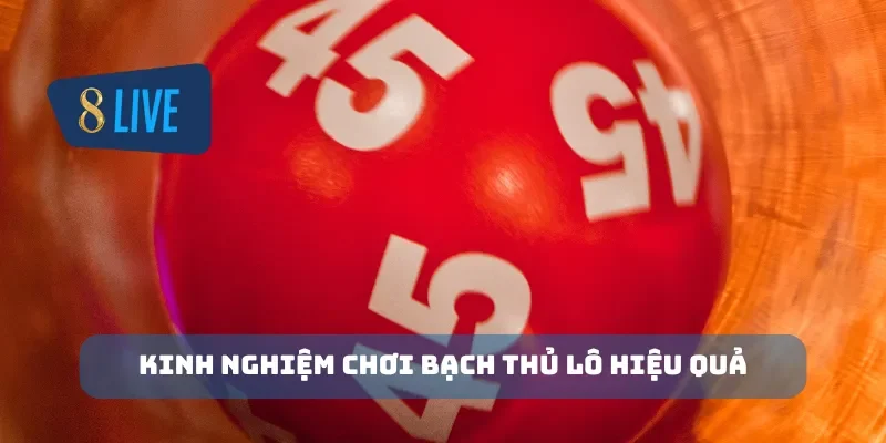 Kinh nghiệm chơi bạch thủ lô hiệu quả